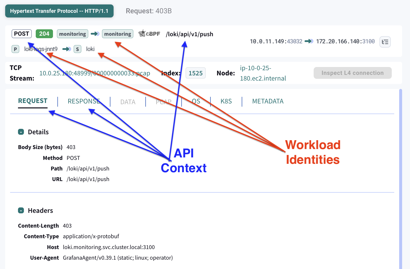 API Dissection